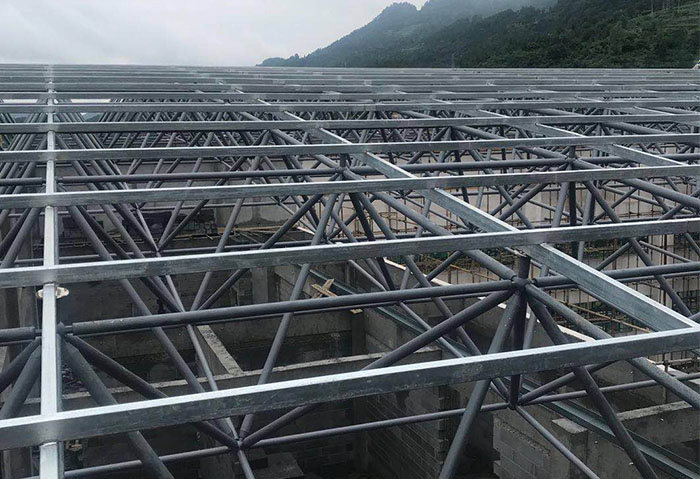 伊犁学校艺体楼网架